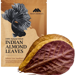 Indian Almond Leave