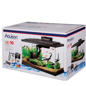 Aqueon 10 Gallon Fish Tank Starter Kit