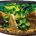 Tetra 5 Gallon Aquarium Kit with fish and decoration