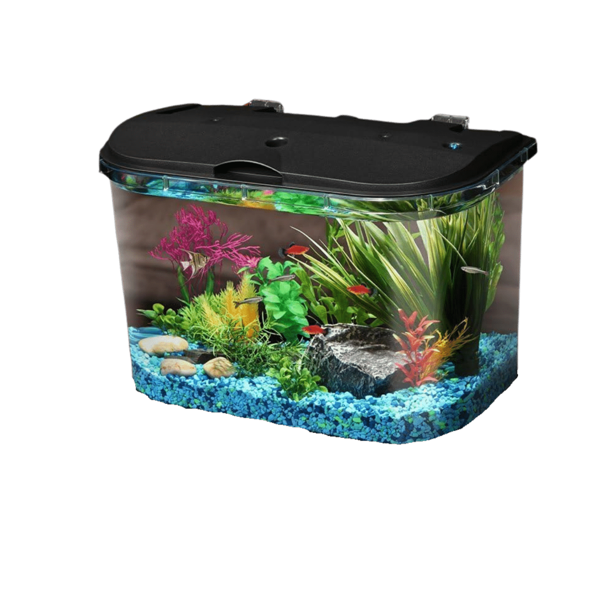 Koller 5 gallon fish tank